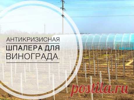 Шпалера для винограда от А до Я. ПРОСТО И НАДЕЖНО