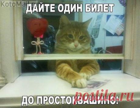 Простоквашино