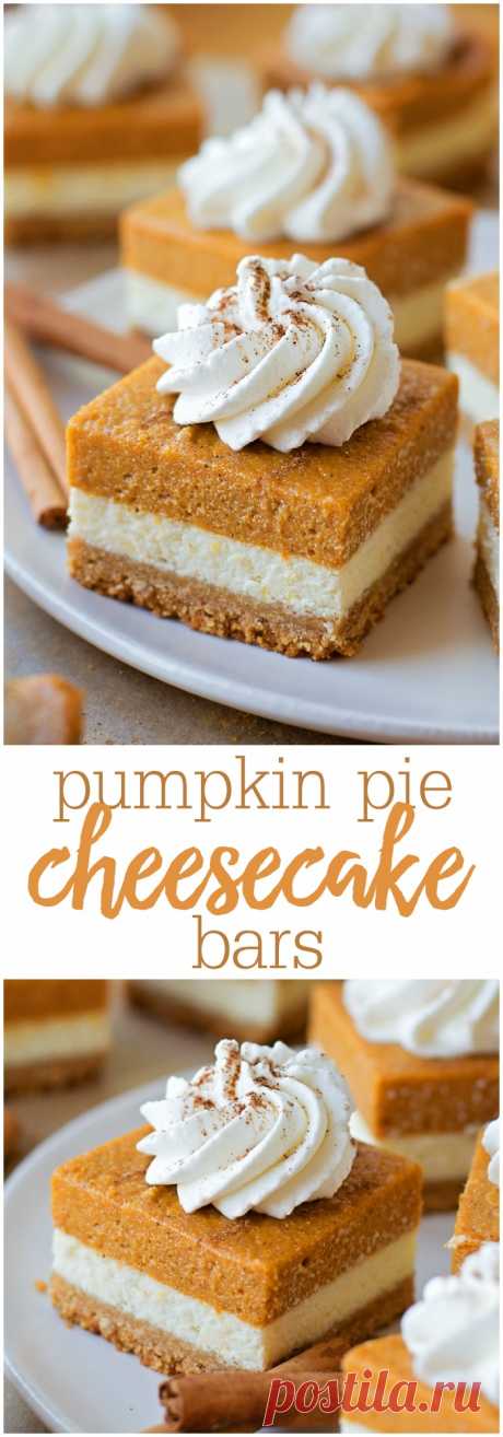 Pumpkin Pie Cheesecake Bars - Lil' Luna