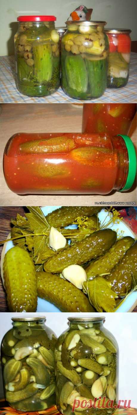сообщение Der_Engel678 : 20 супер рецептов огурцов на зиму! (16:24 02-07-2015) [4124144/366080954] - ineska.novikova@mail.ru - Почта Mail.Ru