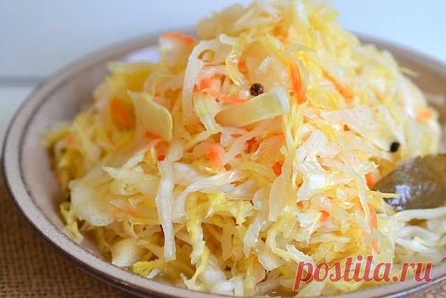 Вкусная капуста за сутки. Рецепт 