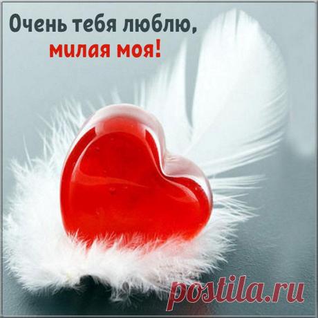 Хочу, чтоб вместе, милая,
По жизни мы пошли.
Не разорвать наш узелок.
Запомни, милый ангелок.