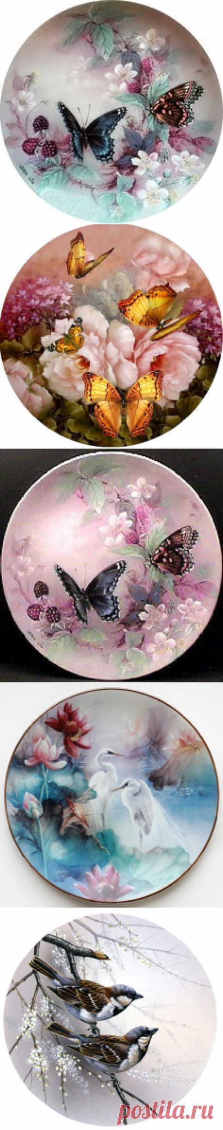 (211) Pinterest