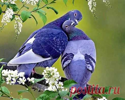 ....................................."""""""""""""""""""""""""...................................
ღ Наслаждаться жизнью ღ