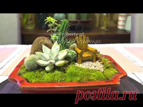 Succulents and Moss Arrangement