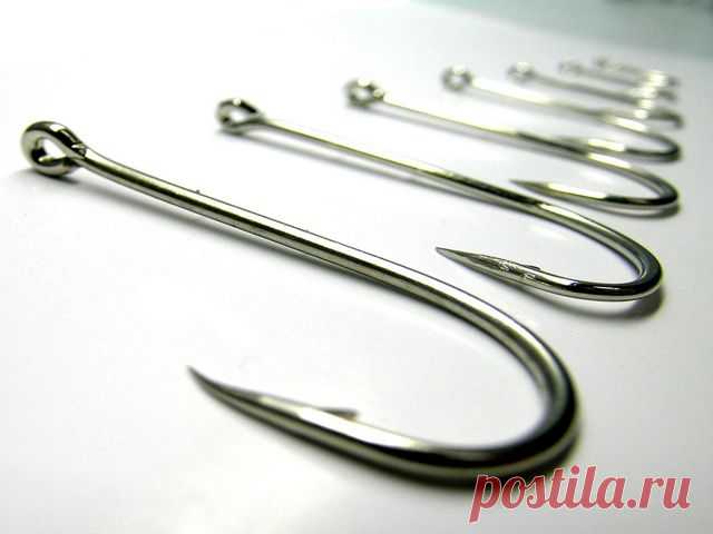 Как подобрать рыболовный крючок | Охота и рыбалка