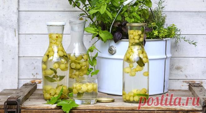 Компот из крыжовника Мохито, пошаговый рецепт с фото на 180 ккал Компот из крыжовника Мохито. Вкусный рецепт приготовления с пошаговым описанием, фото и отзывами. Удобный поиск рецептов и кулинарное вдохновение на Gastronom.ru