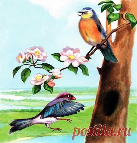Лесные домишки - Виталий Бианки