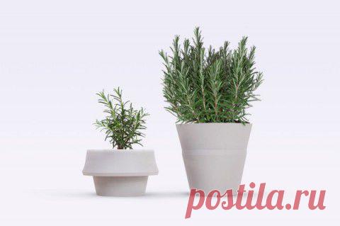 Идея вторичного использования пакетов из супермаркета | Е-генератор: идеи, концепции, реклама, креатив