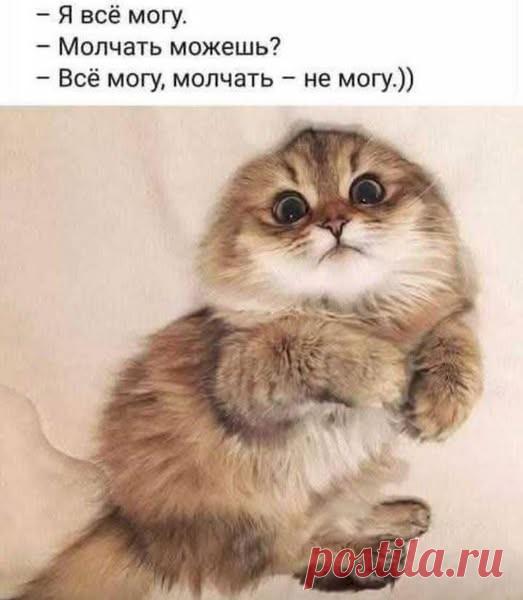 8054fc5b.jpg (523×600)