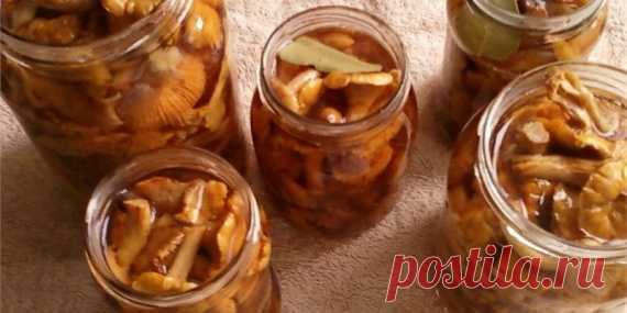 Маринад для любых грибов – настоящая находка для хозяек Маринад для любых грибов – настоящая находка для хозяек

Этот маринад делает грибочки очень вкусными и пикантными.
Готовится маринад легко и просто – сохраните себе рецепт и он станет настоящей находк…