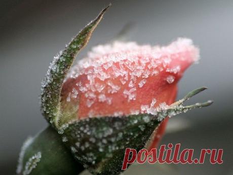 Жанна Тимофеева - Челябинск, Челябинская обл., Россия на Мой Мир@Mail.ru