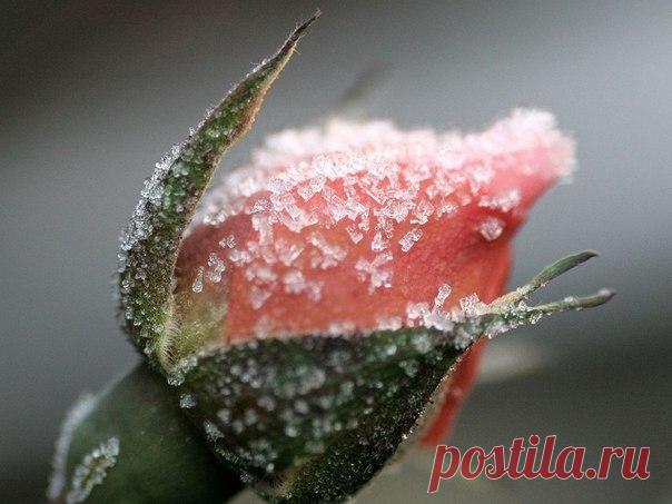 Жанна Тимофеева - Челябинск, Челябинская обл., Россия на Мой Мир@Mail.ru