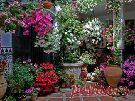 patios cordobeses interiores bonitos - Buscar con Google