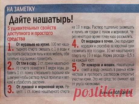 В копилку огородника! Полезные советы!