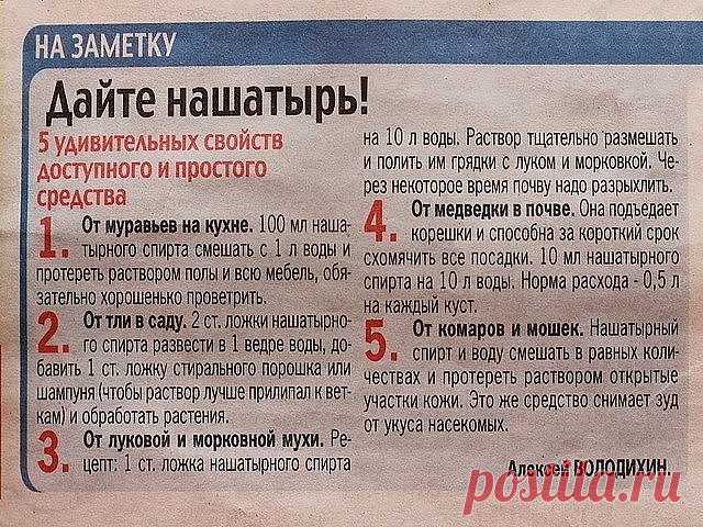 В копилку огородника! Полезные советы!