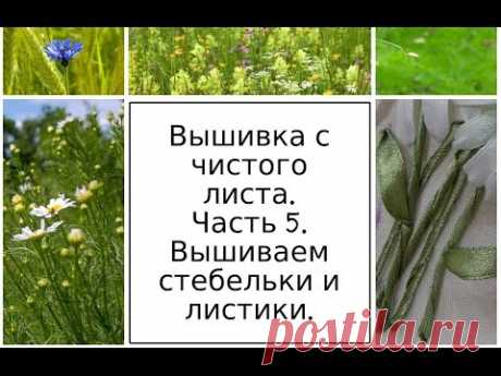 Вышивка с чистого листа. Часть 5. Вышиваем стебельки и листики. Разживалова Наталья