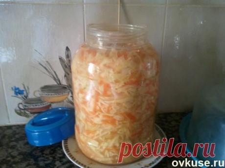 Квашеная капуста 3-х дневка. - Простые рецепты Овкусе.ру