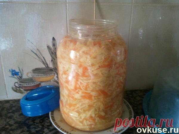 Квашеная капуста 3-х дневка. - Простые рецепты Овкусе.ру