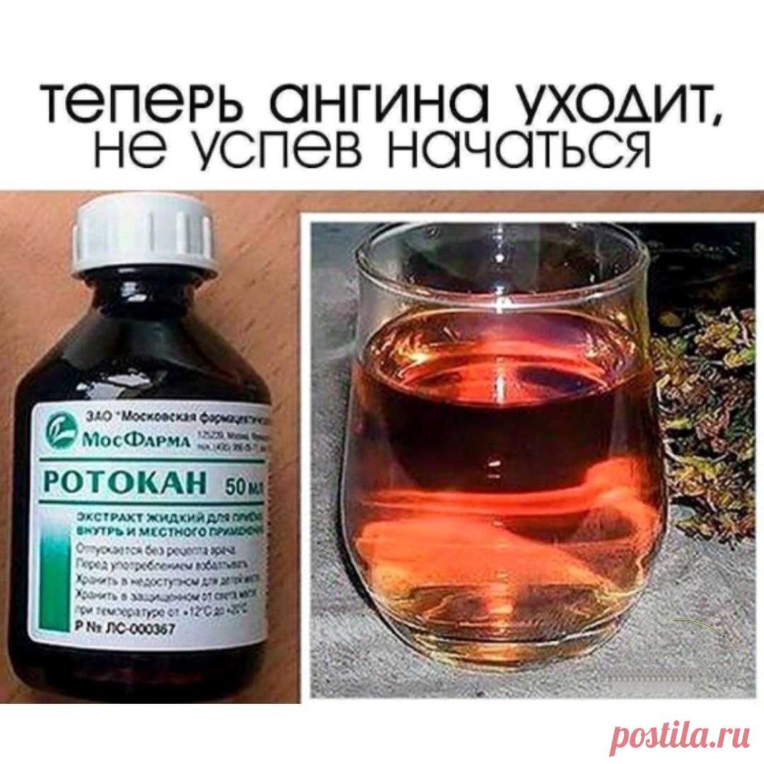 ✅Если горло только-только начало болеть, достаточно 2-3 смазывания. Ангина (даже тяжелая) проходит после 5-6 процедур.
⠀
1️⃣Смешиваю по 2 ч.л. ротокана (продается в аптеке. Это смесь настоек ромашки, тысячелистника и календулы) и раствора люголя.
⠀
2️⃣Наматываю на указательный палец бинт, смачиваю его в этом составе и бесстрашно смазываю горло сначала с одной стороны, затем - с другой. Готовить смесь нужно непосредственно перед применением, НЕ ХРАНИТЬ❗️