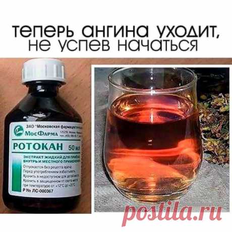 ✅Если горло только-только начало болеть, достаточно 2-3 смазывания. Ангина (даже тяжелая) проходит после 5-6 процедур.
⠀
1️⃣Смешиваю по 2 ч.л. ротокана (продается в аптеке. Это смесь настоек ромашки, тысячелистника и календулы) и раствора люголя.
⠀
2️⃣Наматываю на указательный палец бинт, смачиваю его в этом составе и бесстрашно смазываю горло сначала с одной стороны, затем - с другой. Готовить смесь нужно непосредственно перед применением, НЕ ХРАНИТЬ❗️