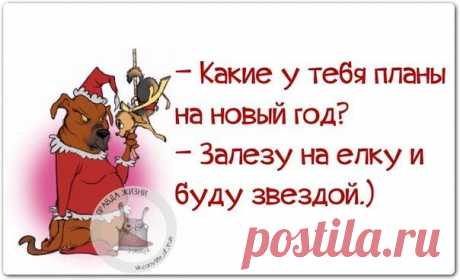Новогодние фразочки со смыслом :) | Сайт Союза Юмористов