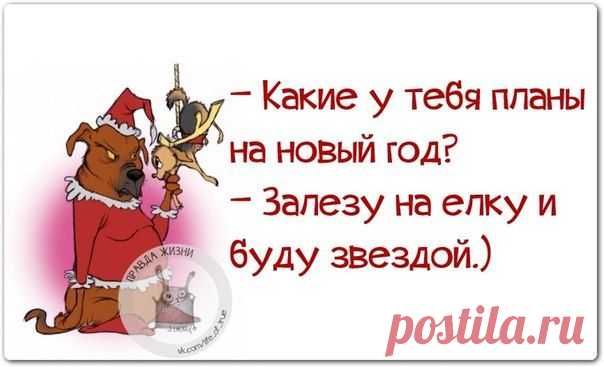 Новогодние фразочки со смыслом :) | Сайт Союза Юмористов