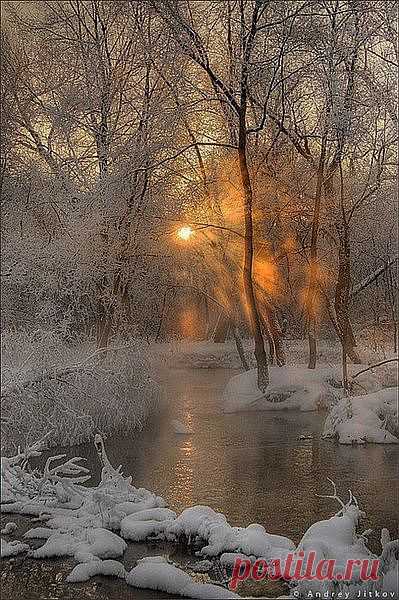 Winter Solstice | Winter and Christmas