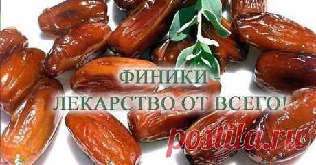 20 ФАКТОВ О ФИНИКАХ
~~~~~~~~~~~~~~~~~~~
1. Финики укрепляют сердце, печень и почки,

2. Поддерживают кислотный баланс организма,

3. Питают кровь, полезны при анемии и гипертонии,

4. повышают иммунитет,

5. способствуют поддержанию полезной микрофлоры в кишечнике,

6. способствуют работе легких,

7. успокаивают кашель и выводят мокроты,

8. стимулируют деятельность сердца,

9. служат тонизирующим и укрепляющим средством,

10. восстанавливают силы после продолжительной бол...