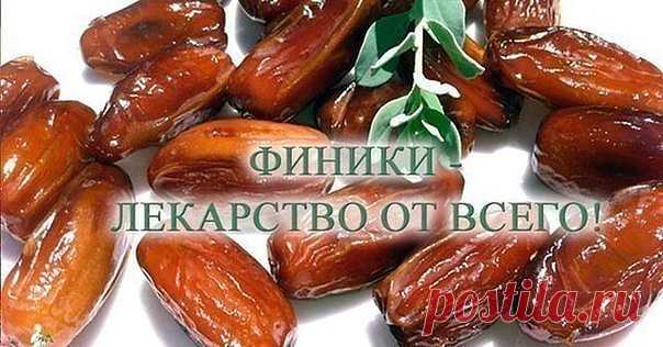 20 ФАКТОВ О ФИНИКАХ
~~~~~~~~~~~~~~~~~~~
1. Финики укрепляют сердце, печень и почки,

2. Поддерживают кислотный баланс организма,

3. Питают кровь, полезны при анемии и гипертонии,

4. повышают иммунитет,

5. способствуют поддержанию полезной микрофлоры в кишечнике,

6. способствуют работе легких,

7. успокаивают кашель и выводят мокроты,

8. стимулируют деятельность сердца,

9. служат тонизирующим и укрепляющим средством,

10. восстанавливают силы после продолжительной бол...