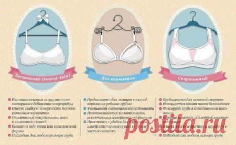 Шпаргалка девушкам: выбираем идеальный бюстгальтер и купальник по фигуре 6