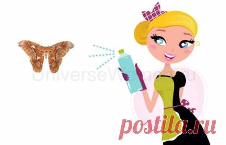 Как избавиться от моли в квартире / UniverseWomen.ru - Вселенная Женщин