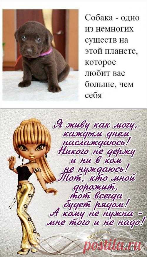 Верь в мечту - у нее есть приятная особенность сбываться.
Статусы в цветных картинках (45 штук)