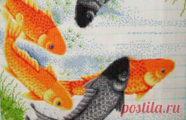 Природа - Мир мотка