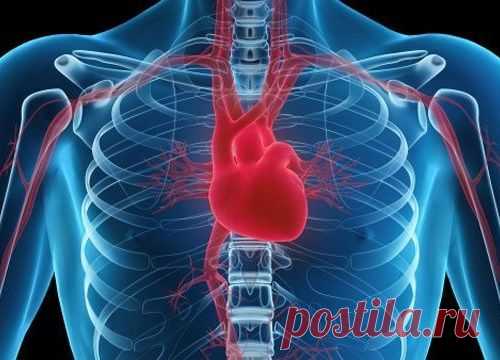 Ранняя диагностика сердечно-сосудистой системы