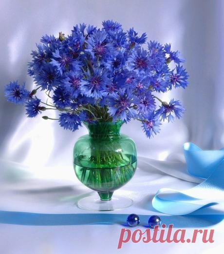 (65) Одноклассники