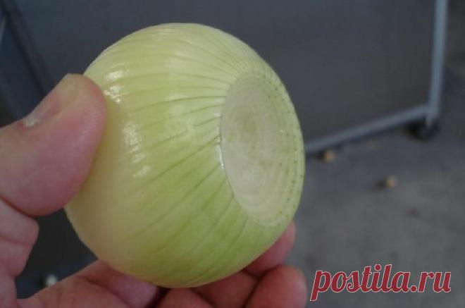 Разрежь лук накрест и положи в чай. Старинный метод от дискомфорта в кишечнике • Сияние Жизни