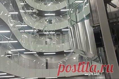 Появилось видео внутри «ЧВК Вагнер Центр» в Петербурге. В сети появилось видео внутри здания «ЧВК Вагнер Центр» в Санкт-Петербурге. На кадрах видно, что в строении много этажей, а его конструкция выполнена из стекла. При этом на окна и двери центра нанесена соответствующая символика. Отмечается, что официальное открытие здания намечено на пятницу, 4 ноября.