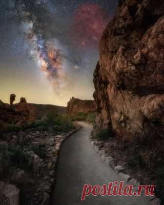 essenceofnatvre:
“maurocirigliano
► THE WAY ◄
”