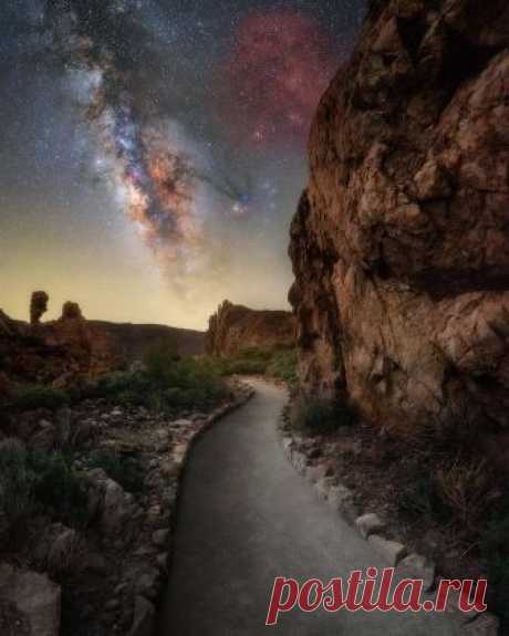 essenceofnatvre:
“maurocirigliano
► THE WAY ◄
”