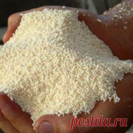 Азот для садовых цветов