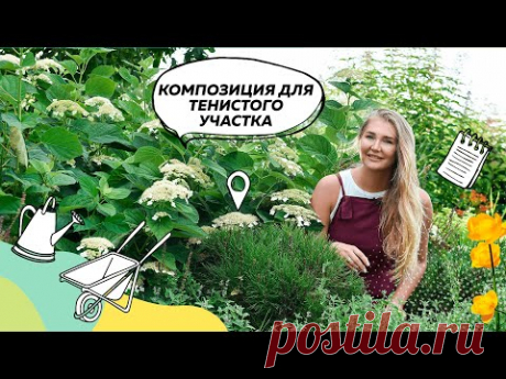 Теневой Цветник | Что посадить в тени? | Ландшафтный дизайн | @leskovo.pitomnik