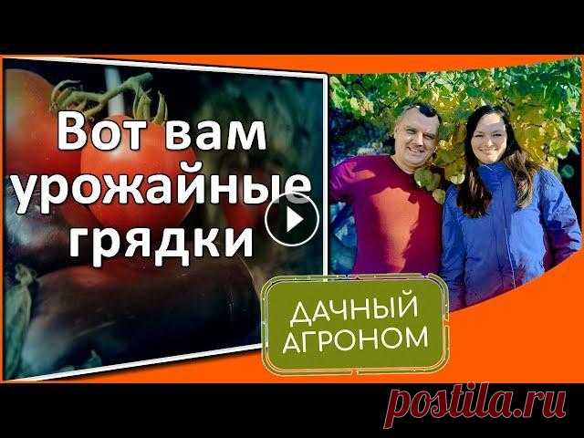 Новый взгляд на огород Умные грядки своими руками Сделай самые удобные грядки в мире своими руками с нашими рекомендациями! Наш сайт Подпишись на канал «Дачный агроном» ОБЯЗАТЕЛЬНО нажми колокольчик и...