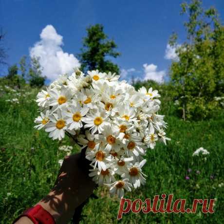 С Добрым Утром! С Хорошими новостями. С солнышком в душе. С радостью на сердце. И с верой—ВСЁ БУДЕТ ХОРОШО! По другому быть не может. Автор фото Ксения Миронова