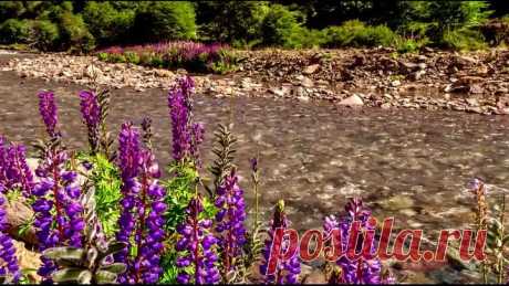 СБОРНИК 80-Х-