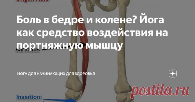 Боль в бедре и колене? Йога как средство воздействия на портняжную мышцу Статья автора «Йога для начинающих для здоровья» в Дзене ✍:   Функция и структура портняжной мышцы: анатомический взгляд  Портняжная мышца, sartorius, выполняет ряд ключевых функций в области...