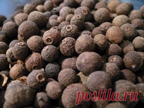Pimienta de Jamaica: beneficios para la salud, posibles efectos secundarios y más ¿Qué es la pimienta de Jamaica? La pimienta de Jamaica proviene de la baya inmadura y seca de un árbol pequeño llamado Pimento officinalis o Pimento diocia . También se conoce como pimiento, pimienta de mirto, pimienta nueva y clavo de olor. Originalmente se le llamó “pimiento”, por los exploradores en el siglo XVI debido a su piel […]