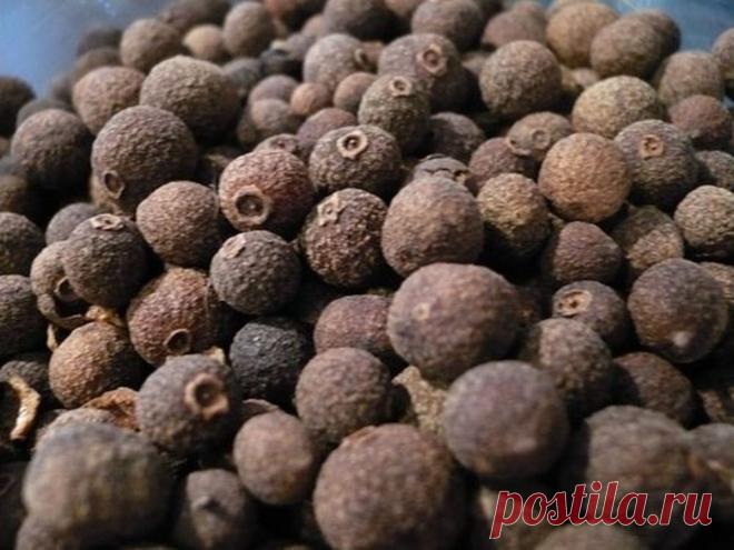 Pimienta de Jamaica: beneficios para la salud, posibles efectos secundarios y más ¿Qué es la pimienta de Jamaica? La pimienta de Jamaica proviene de la baya inmadura y seca de un árbol pequeño llamado Pimento officinalis o Pimento diocia . También se conoce como pimiento, pimienta de mirto, pimienta nueva y clavo de olor. Originalmente se le llamó “pimiento”, por los exploradores en el siglo XVI debido a su piel […]