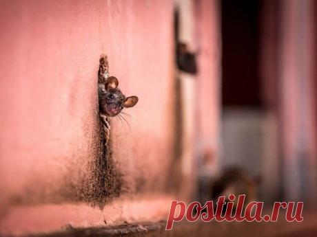 Лучшие кадры июля — Наука и жизнь