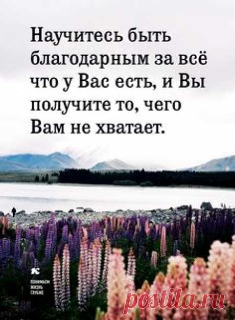 Понимаем жизнь глубже.
